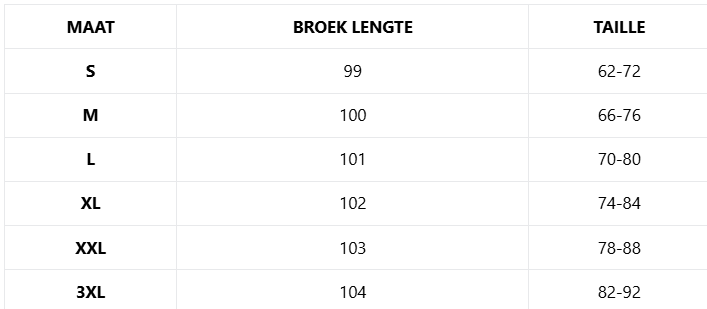 Ensemble Blazer et Pantalon Ajusté Sophistiqué pour Femme