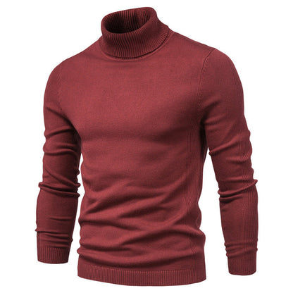 Pull en Laine Premium Homme à Col Roulé