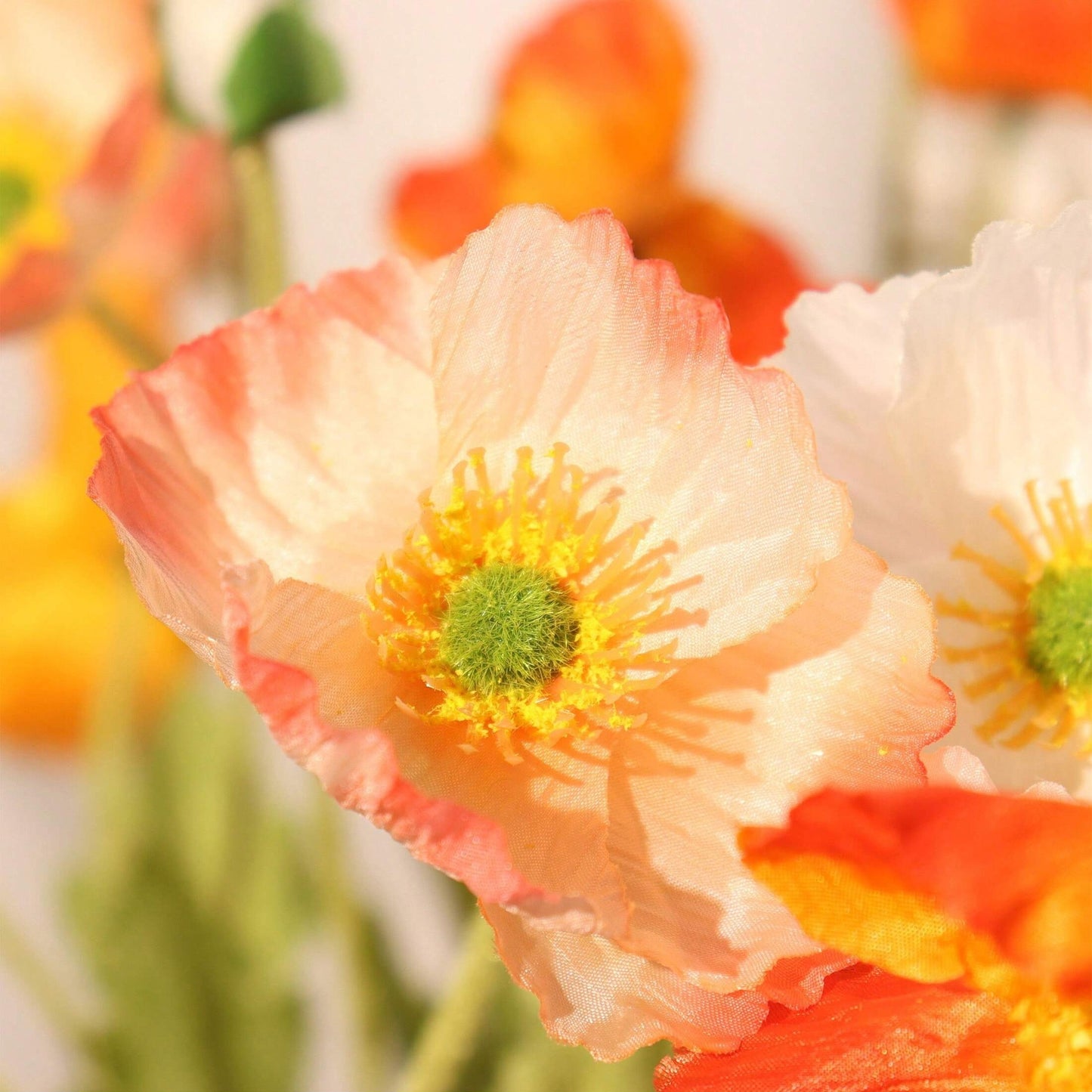 8pcs Poppies Orange Coucher de Soleil 60cm