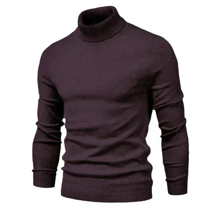 Pull Col Roulé Douillet et Élégant pour Homme