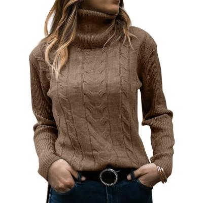 Pull Turtleneck Douillet pour Femmes Élégantes