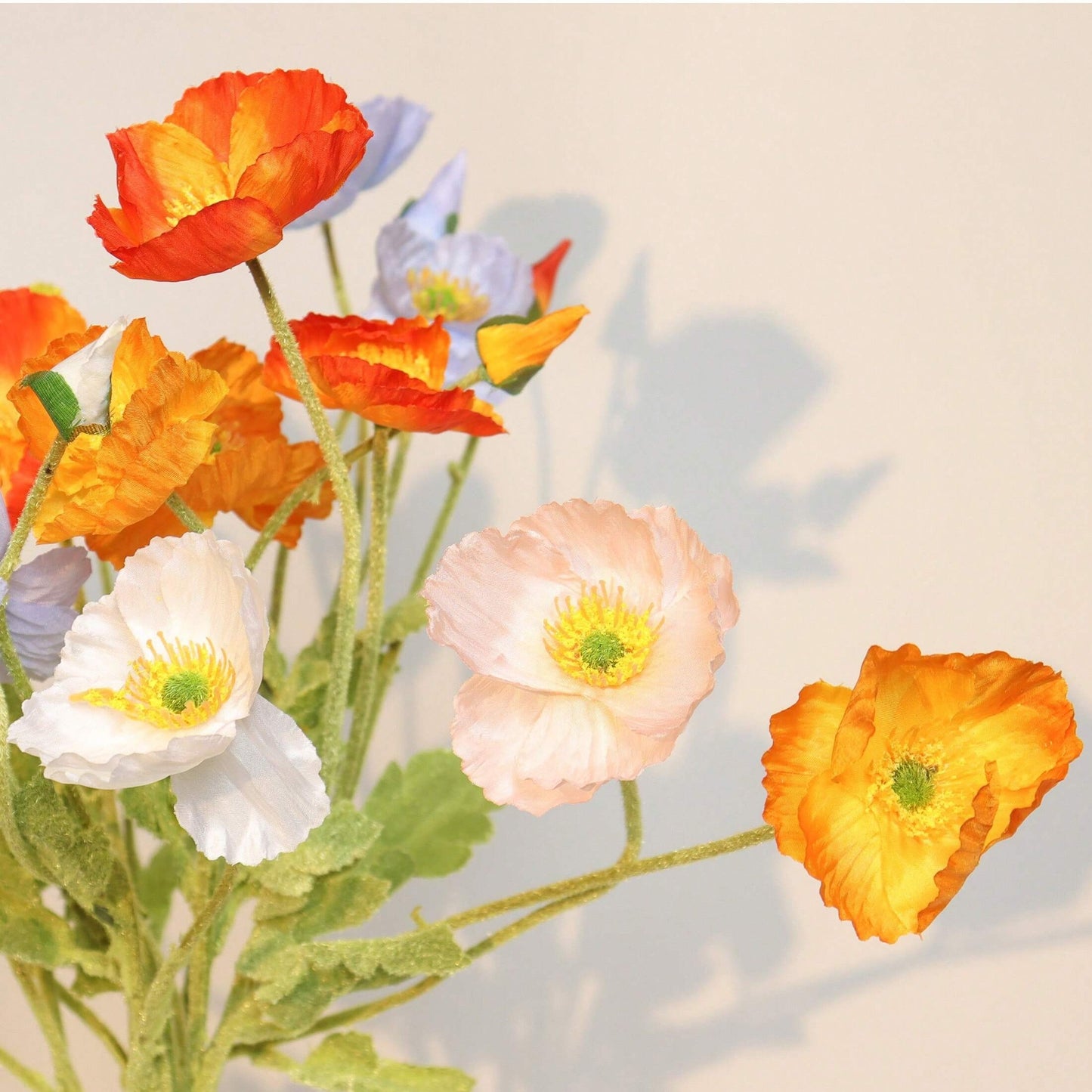 8pcs Poppies Orange Coucher de Soleil 60cm